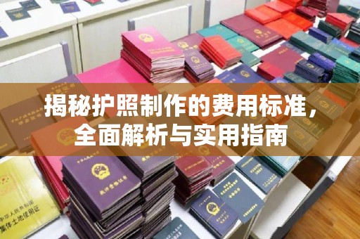 色达揭秘护照制作的费用标准，全面解析与实用指南