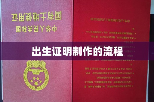 色达出生证明制作的流程