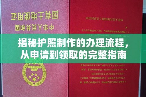 色达揭秘护照制作的办理流程，从申请到领取的完整指南