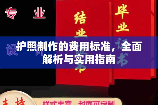 色达护照制作的费用标准，全面解析与实用指南