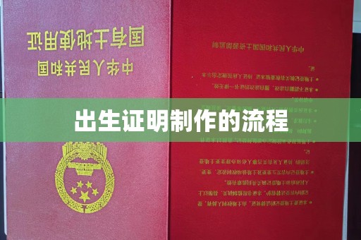 色达出生证明制作的流程